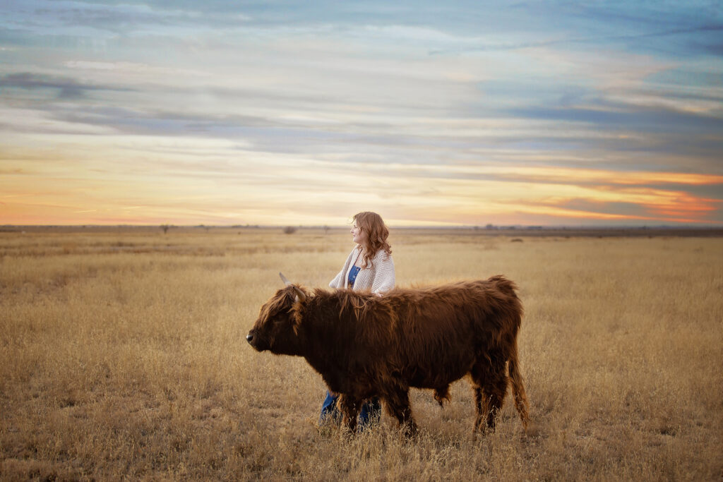 Amarillo senior looking off into the future while standing in a pasture with a mini highland cow with the sun setting. 
