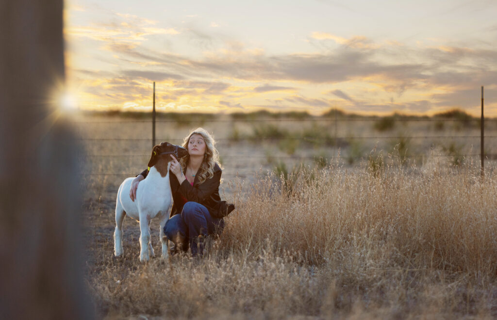Tulia High School Senior girl giving her stock show goat the side eye during a sunset in West Texas. 