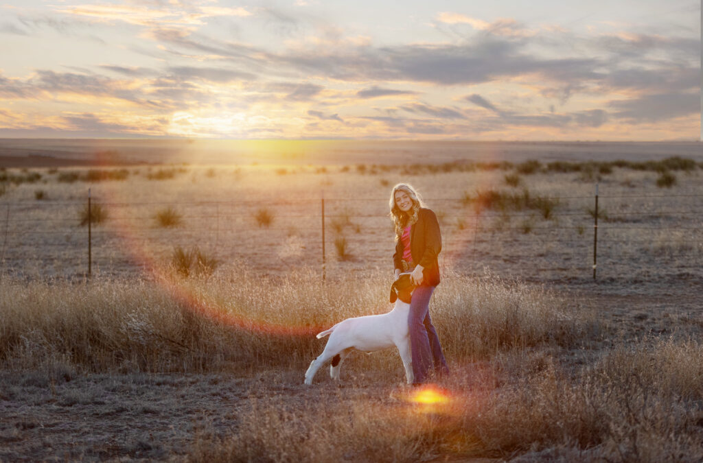 Tulia High School Senior girl driving her stock show goat during a sunset in West Texas. 